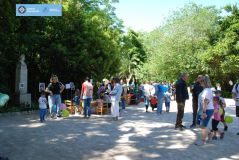 Ανώνυμο_σχέδιο_-_2025-05-26T124107.703.jpg